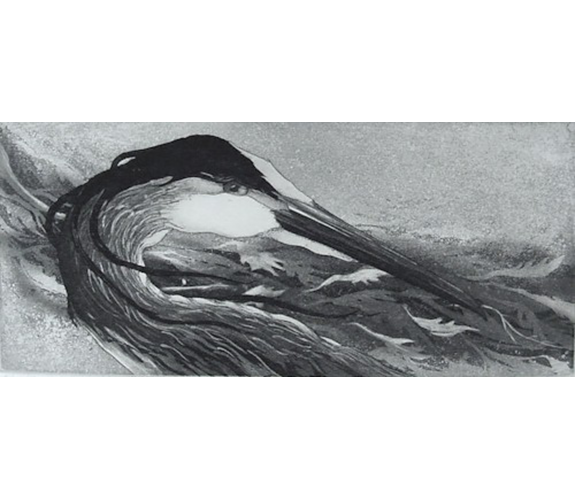 Beki Killorin "Native Drifters"